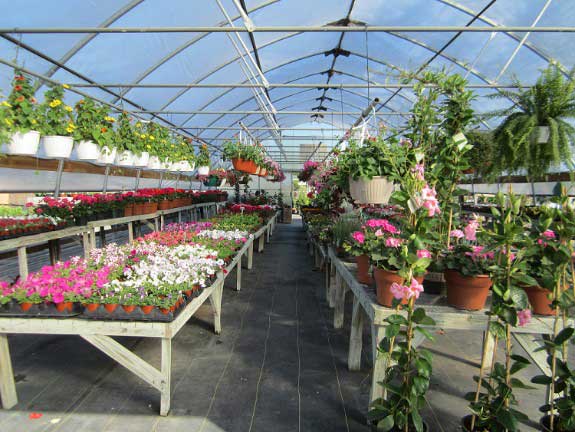 Greenhouse Full of Flower Pots — Gardening Supplies in Belleville, IL