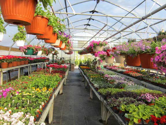 Greenhouse — Gardening Supplies in Belleville, IL