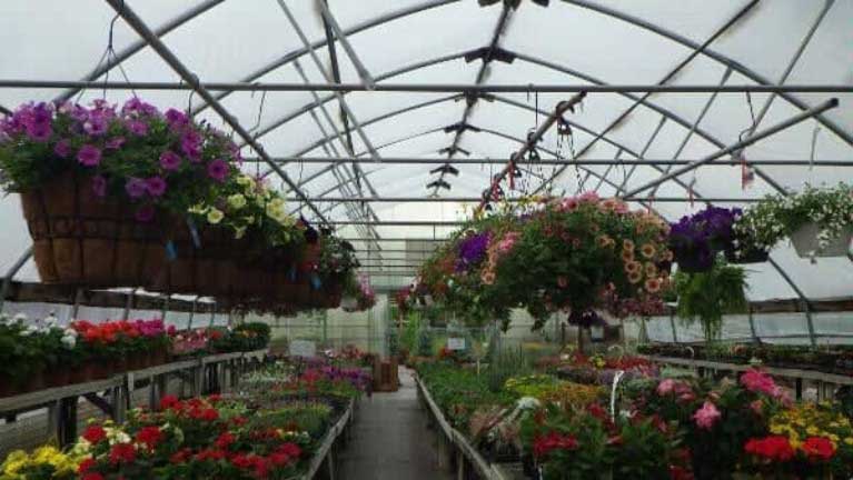 Greenhouse Full of Flowers — Gardening Supplies in Belleville, IL