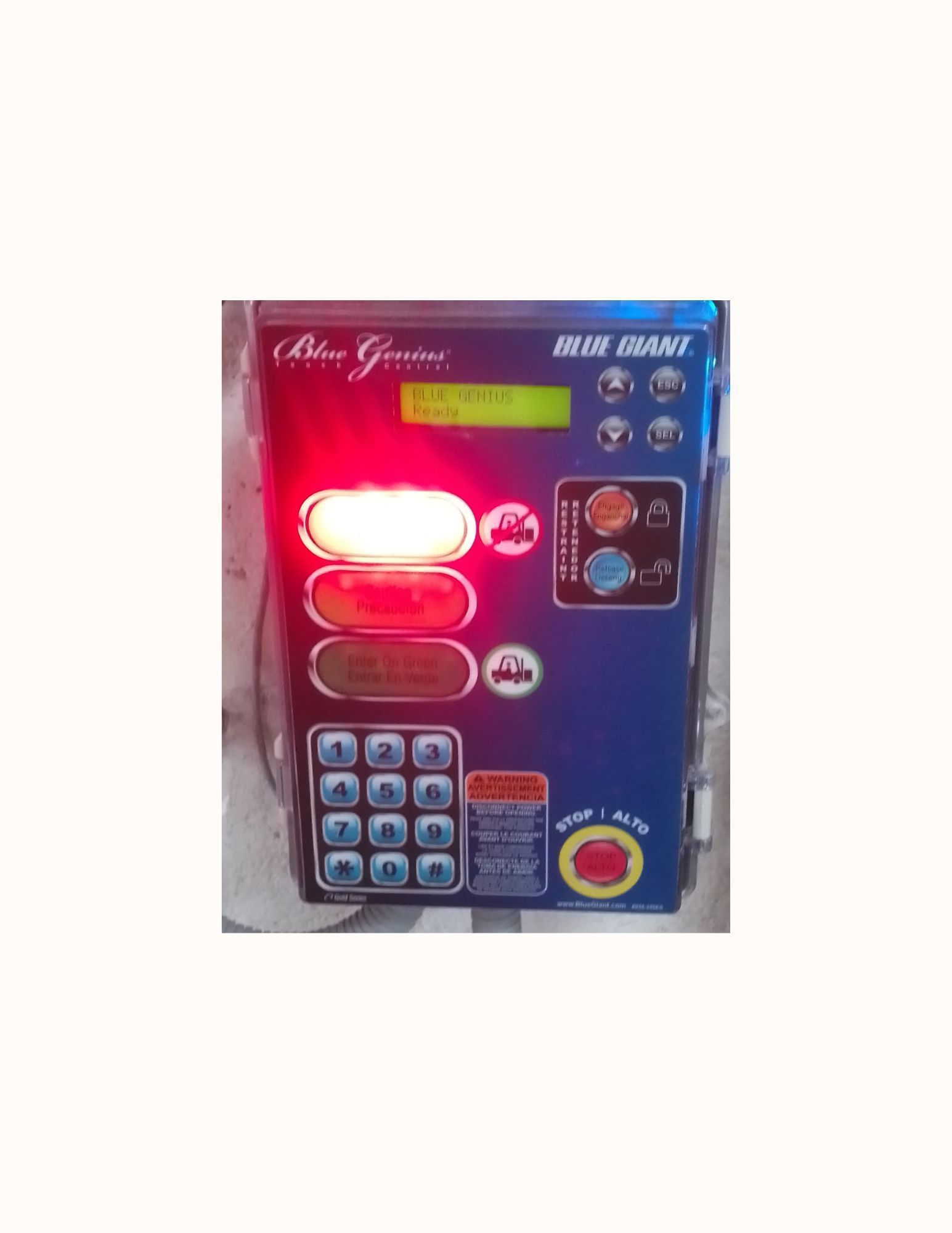 BLUE GENIUS SERIE GOLD II