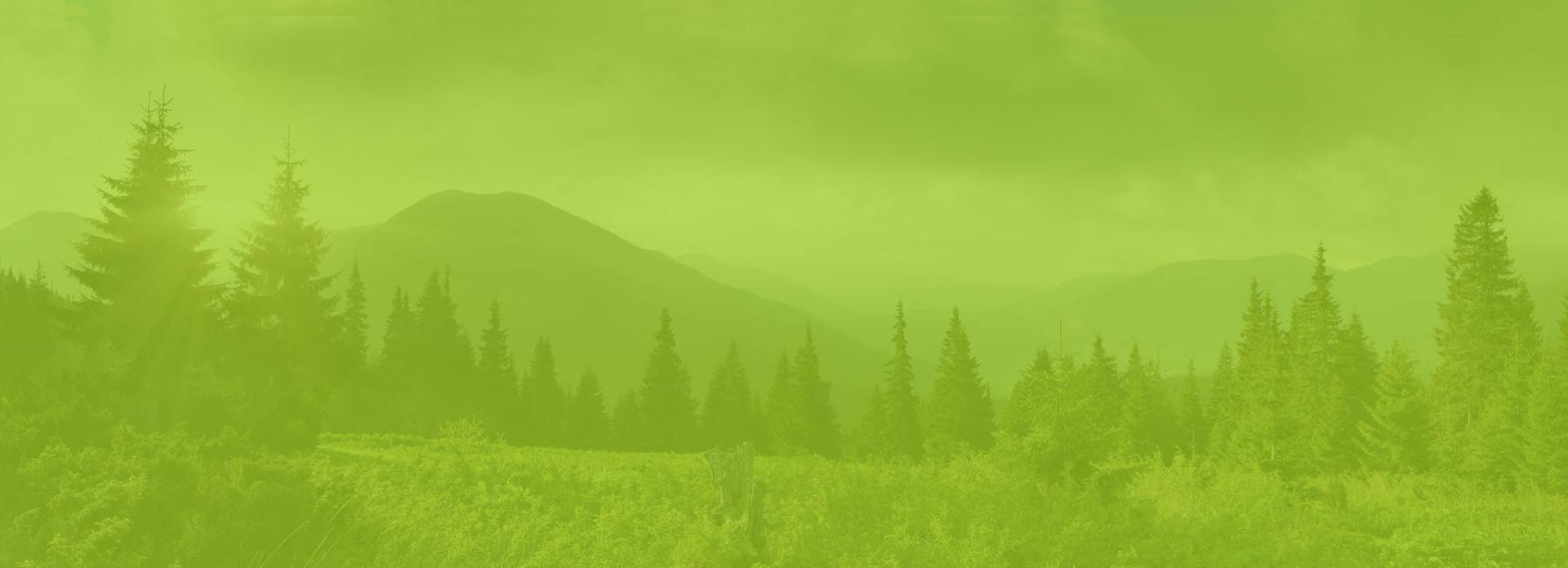 Hodgson Tree Service Inc. gallery 3