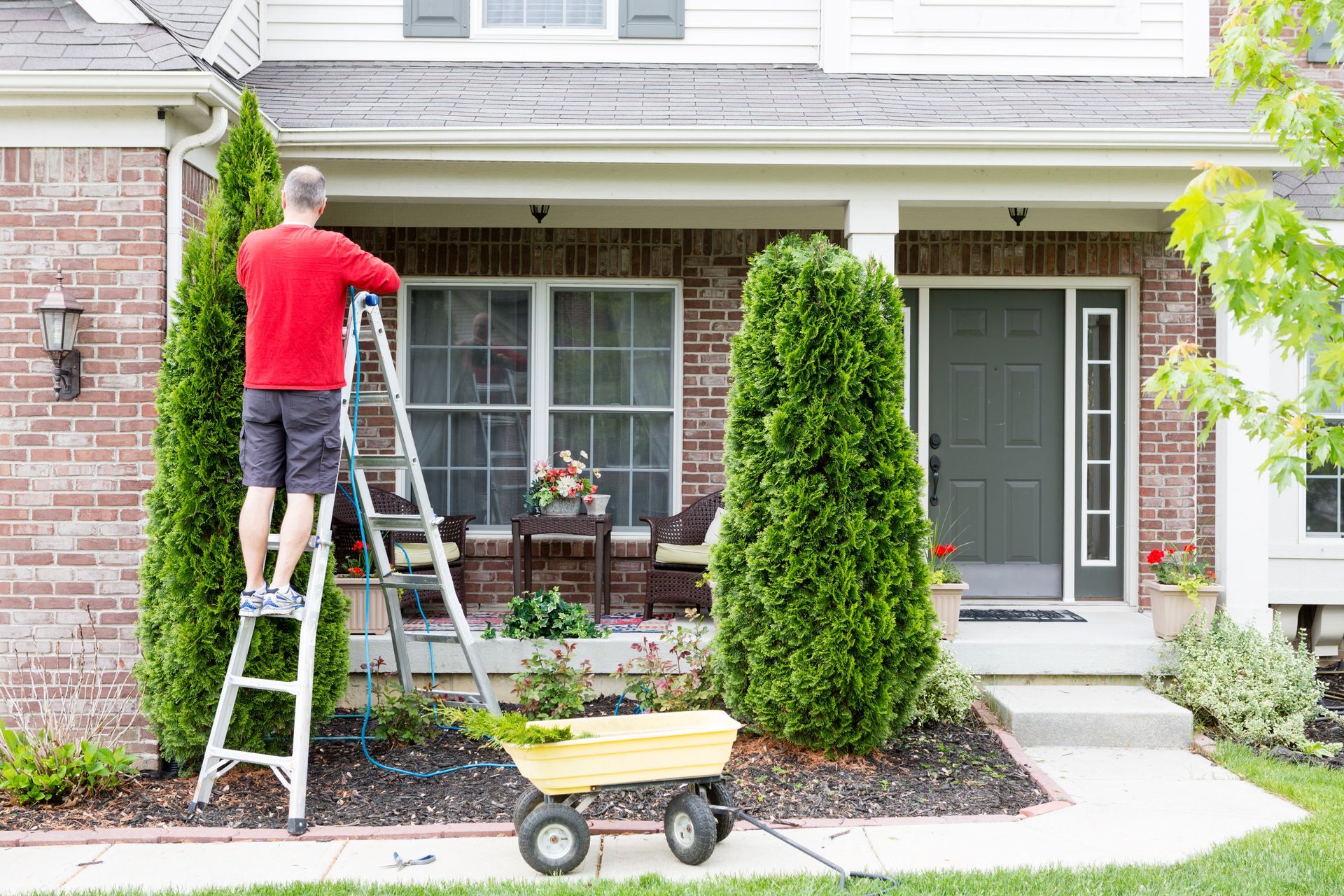 Homeowner on ladder trimming tree branches near porch for tree maintenance services.
