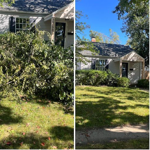 A cut branch from a tree next to the house in Columbus, Ohio, needing professional tree removal services.