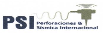 PSI Perforaciones Ltda.