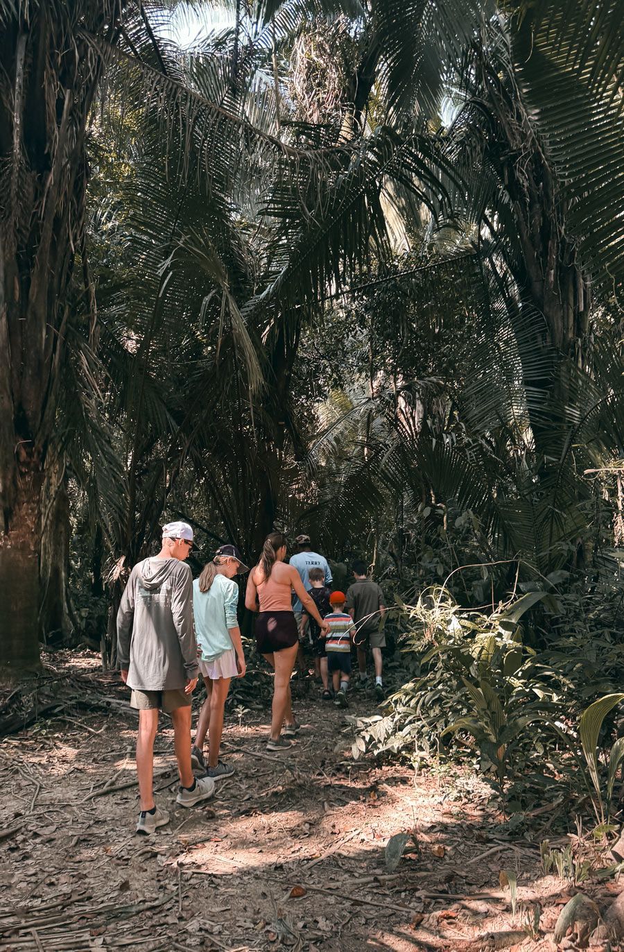 adventure retreats kids beehive