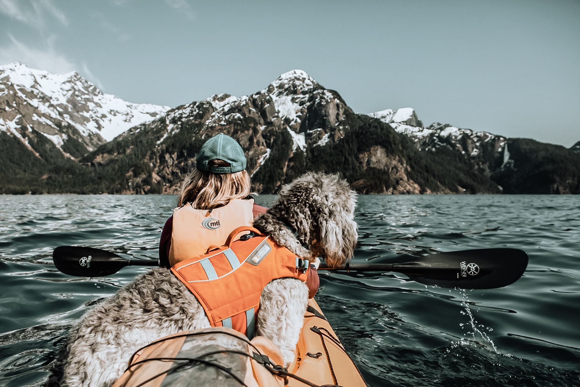 kayaking with a dog