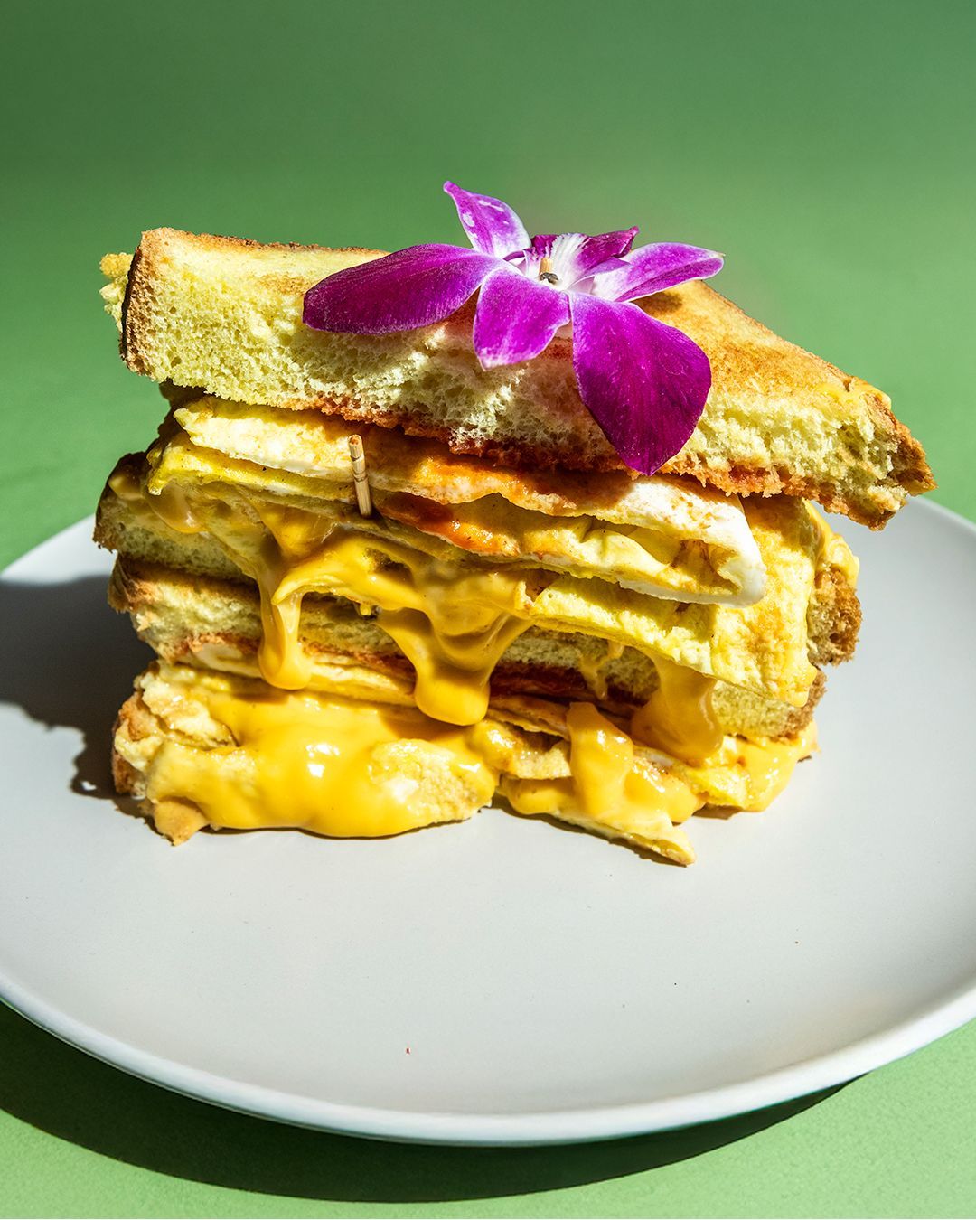 Grilled cheese sandwich with melted cheddar, garnished with purple orchid on a white plate.