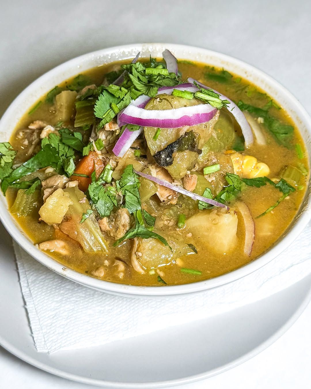 Bowl of stew with vegetables, meat, and cilantro, garnished with red onion.