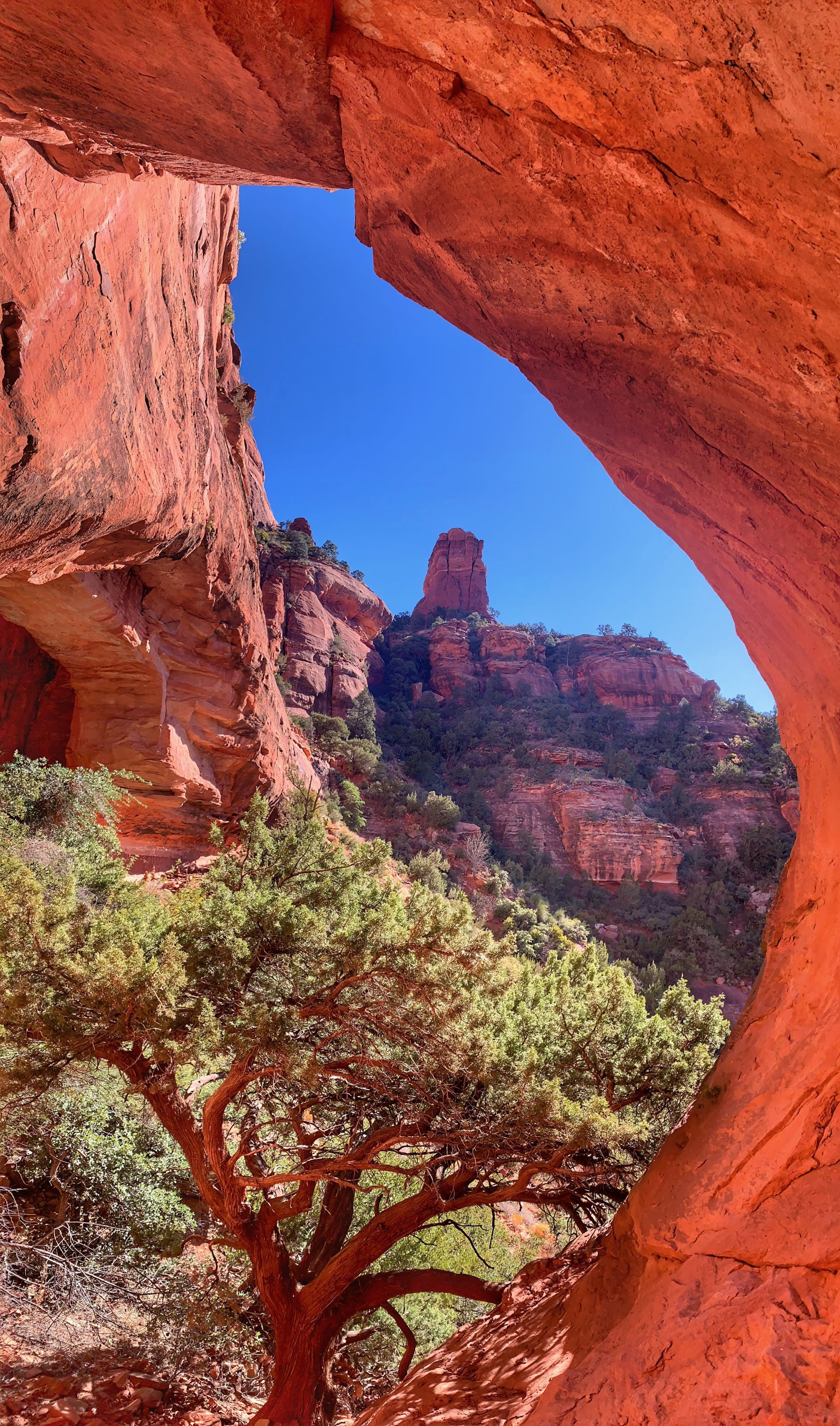 Fay Canyon arch, sedona