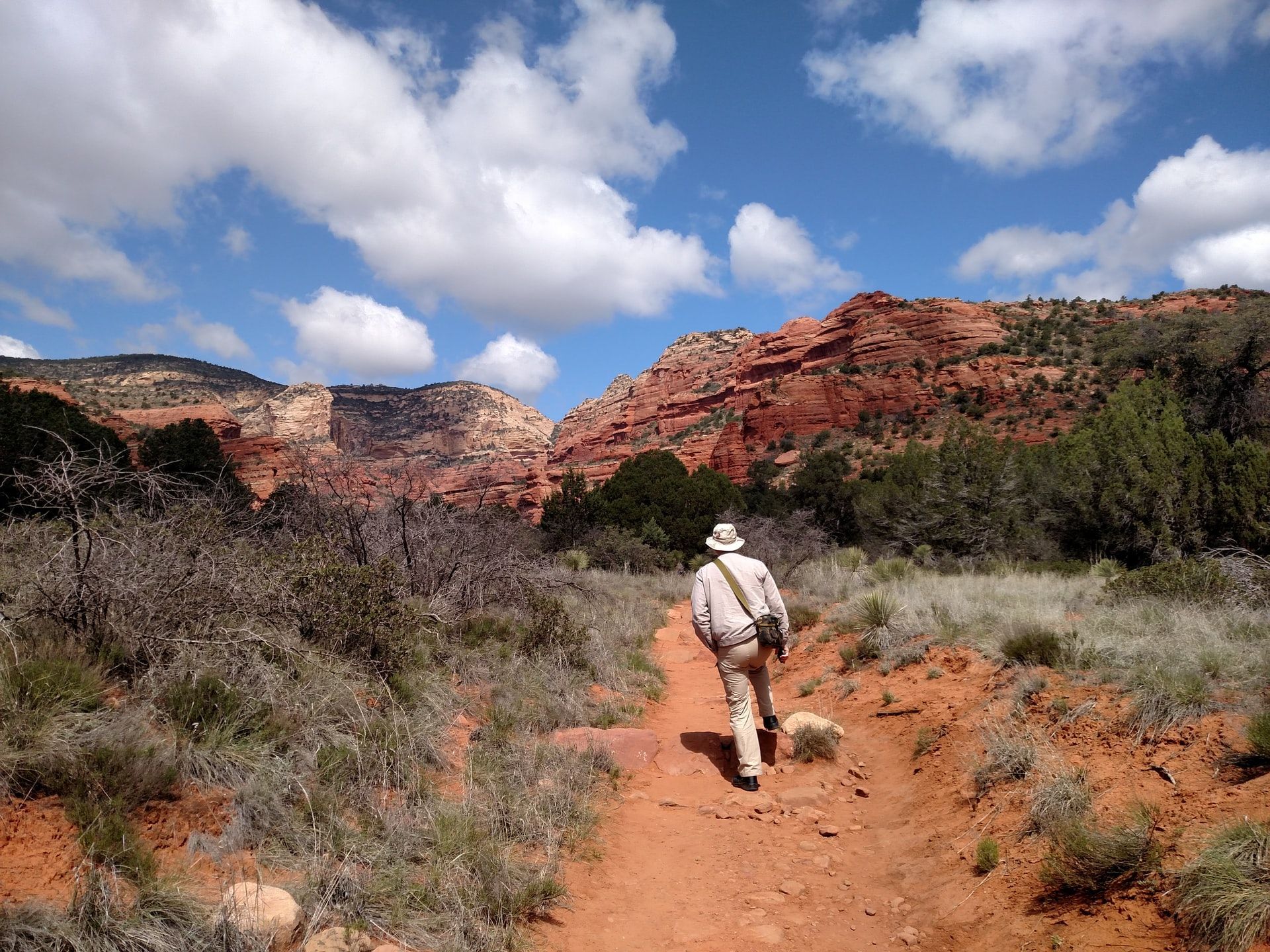 A man is walking down a dirt path with a dog.