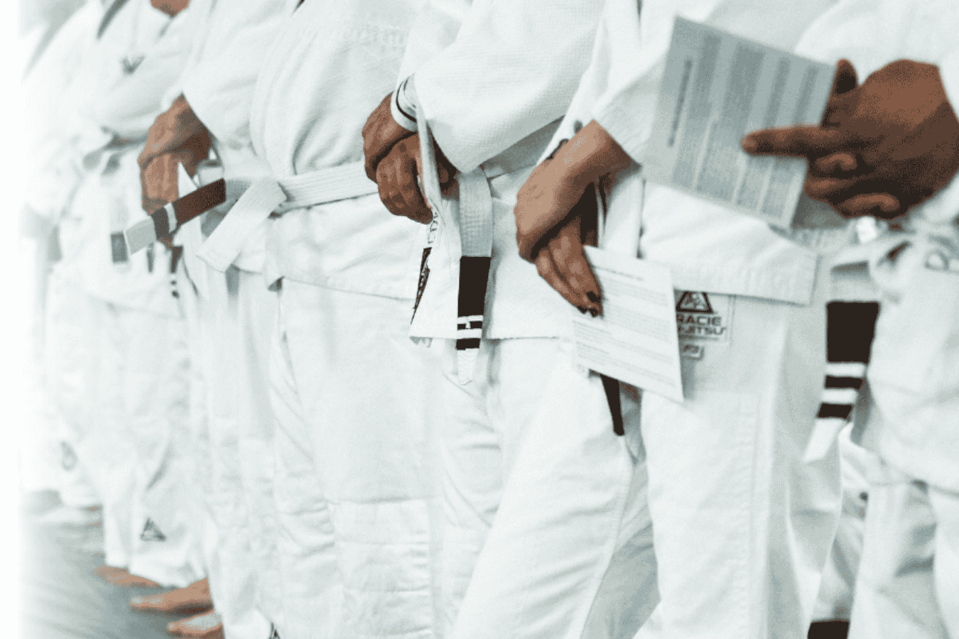 Gracie Combatives