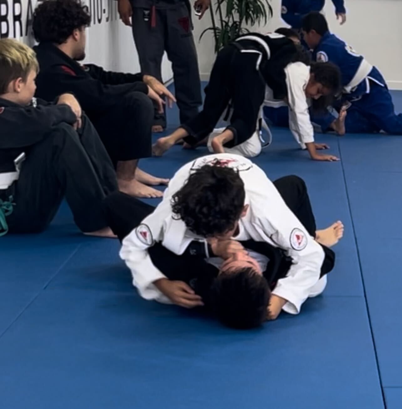 Beginners practice controlled grappling at Gracie Jiu-Jitsu San Jose in San Jose, CA, building calm confidence.