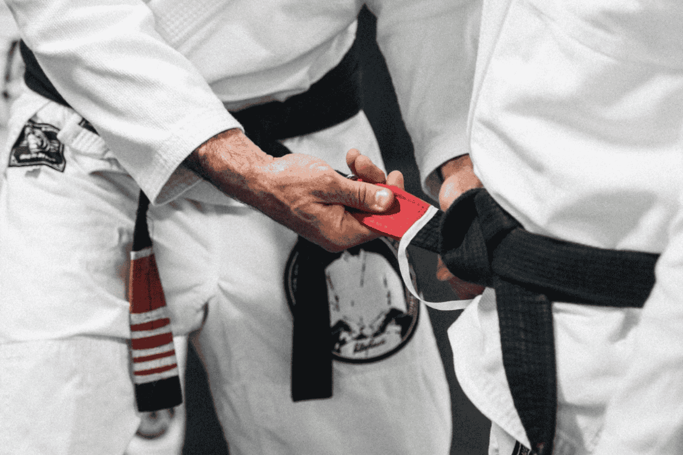 Gracie Master Cycle