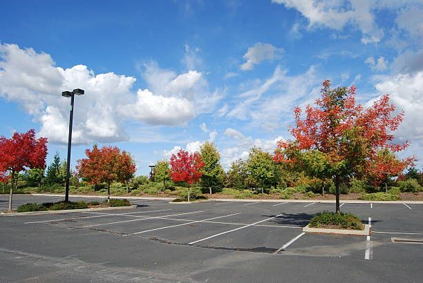 A parking lot with trees and a blue sky in the background.