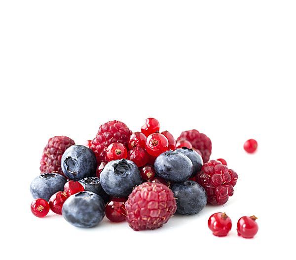 Pépinière Soleil arbustes fruitiers bio