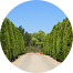 A dirt road surrounded by trees in a circle with a blue sky in the background.
