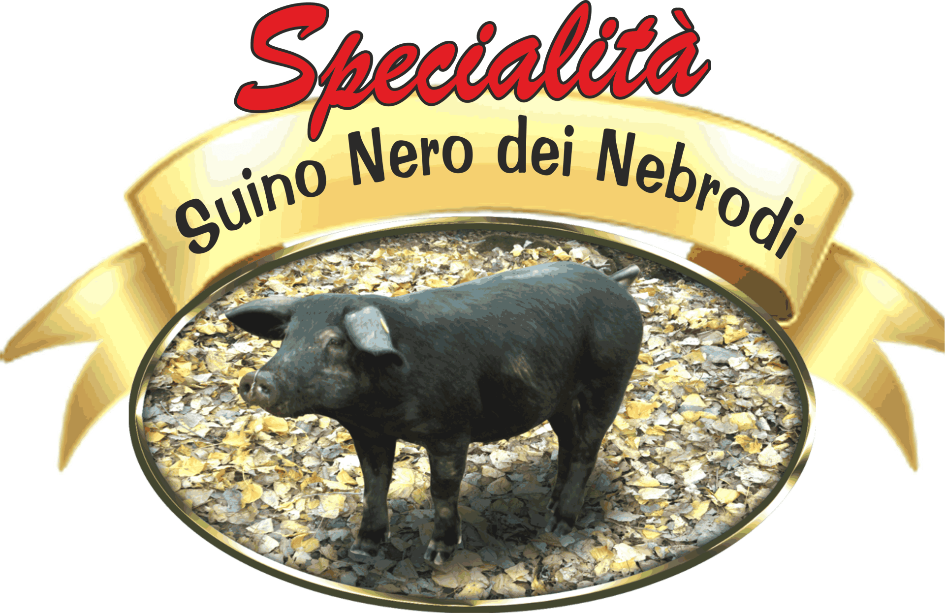 specialità suino nero di nebrodi