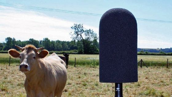 Noise monitoring in a rural landscape