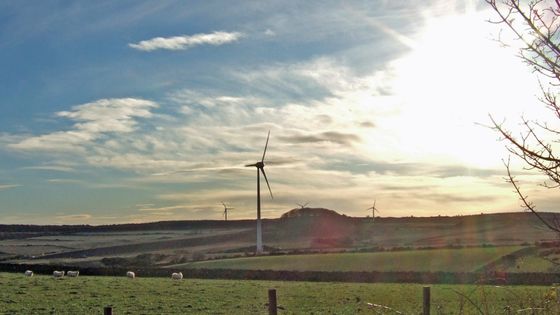 Wind turbines in rural landscape