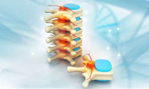 Spine Alignment — Sunnyside, WA — Yakima Valley Chiropractic Center