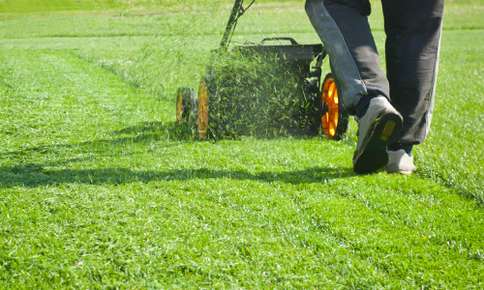 Mowing A Grassland — Sunnyside, WA — Yakima Valley Chiropractic Center