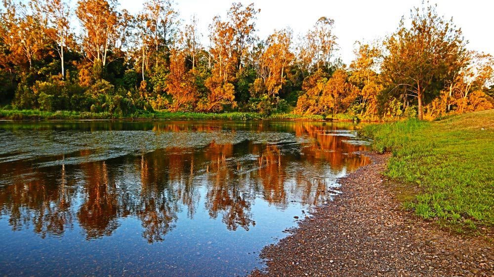 A Lake with Trees Reflected in The Water — Ryde Energy in Ipswich, QLD