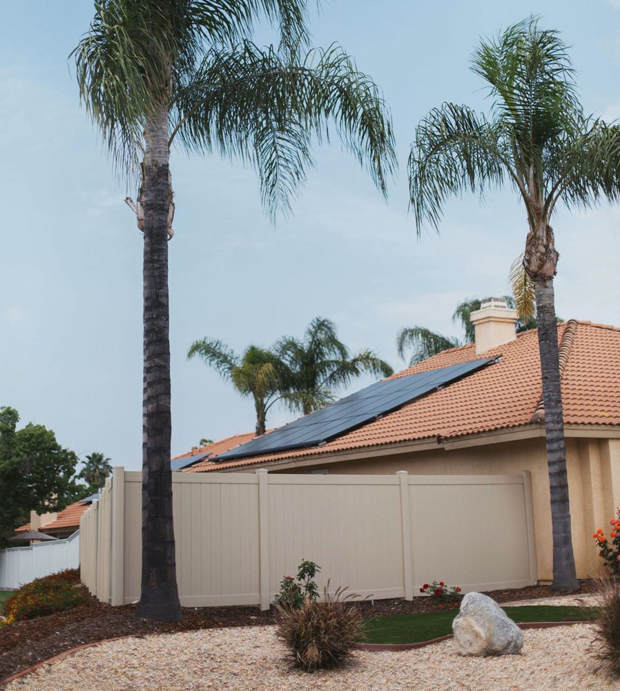 A House with Palm Trees and Solar Panels on The Roof — Ryde Energy in Browns Plains, QLD