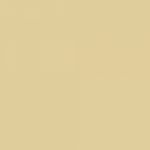 A close up of a beige background with a plain texture.