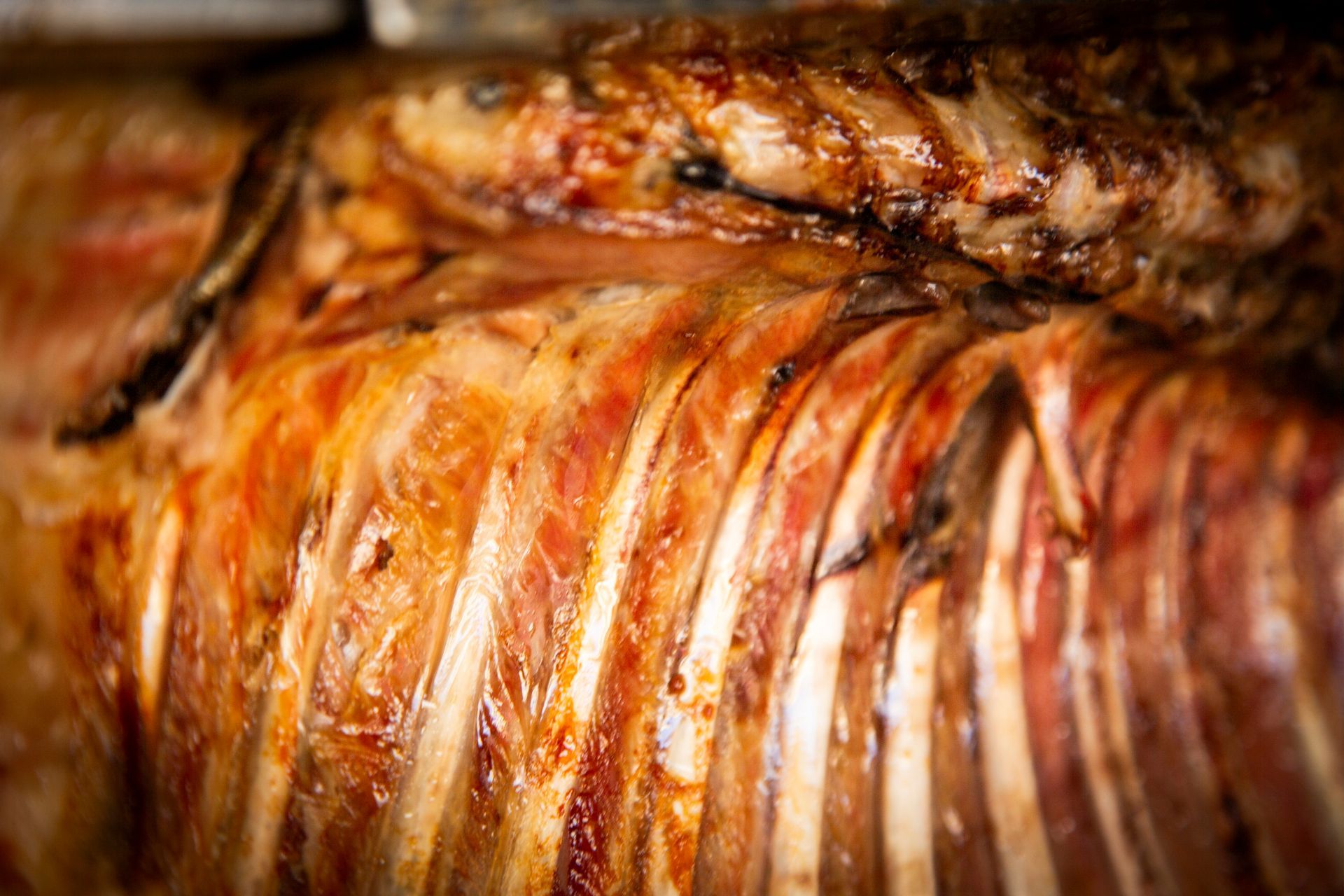 Roasted ribs, close-up, showing charred edges and juicy, reddish meat, with visible bones.