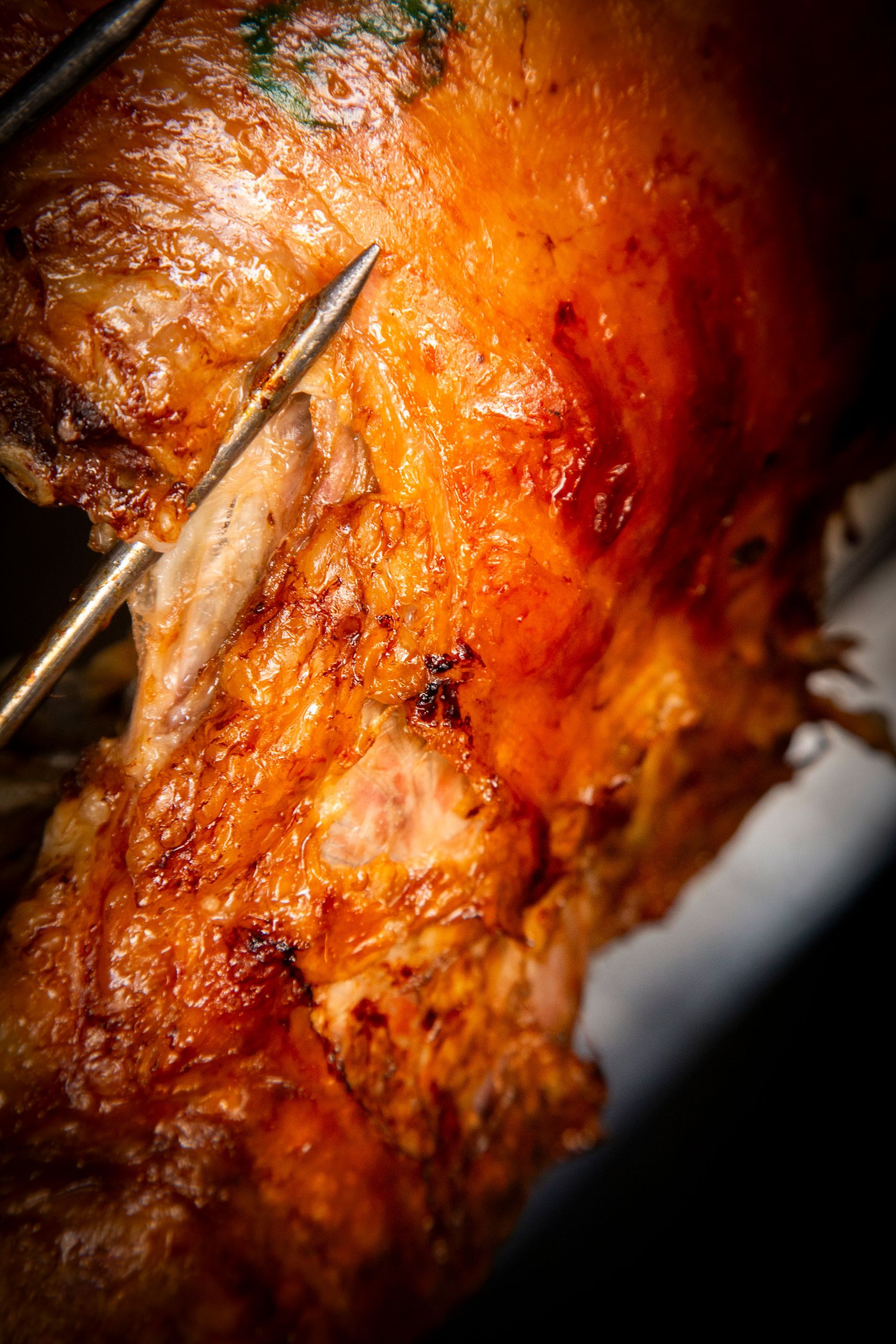 Close-up of roasted meat with a metal skewer piercing it; golden-brown skin.