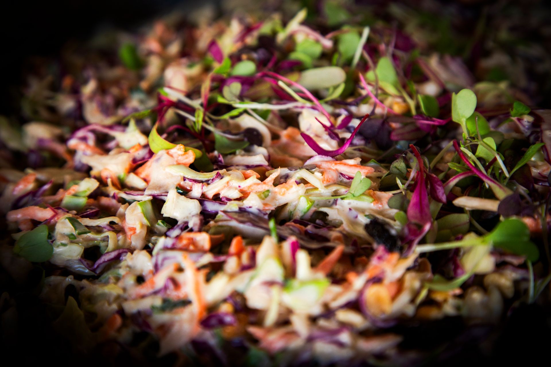 Coleslaw with red cabbage, carrots, and microgreens in a bowl.