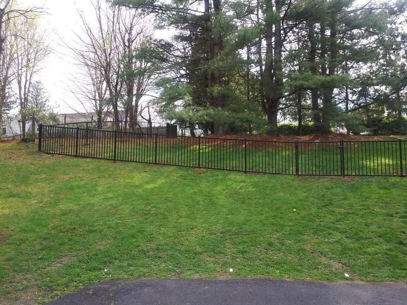 A black fence surrounds a lush green field with trees in the background.