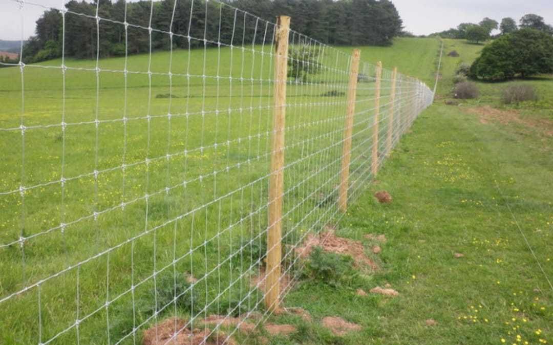 A wire fence is surrounding a grassy field.