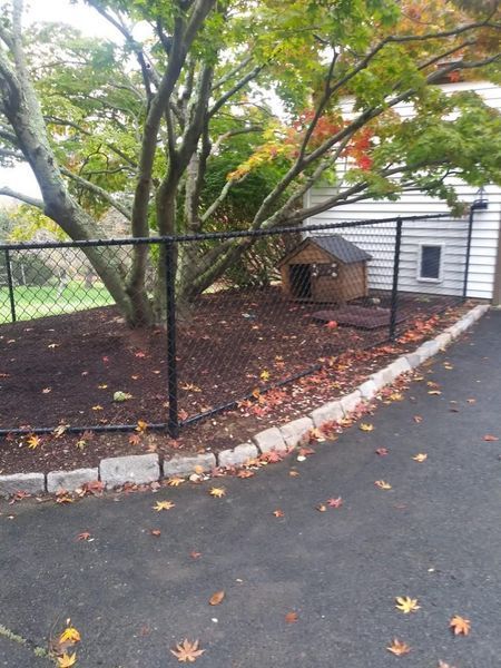 A chain link fence surrounds a yard with a dog house in the background.