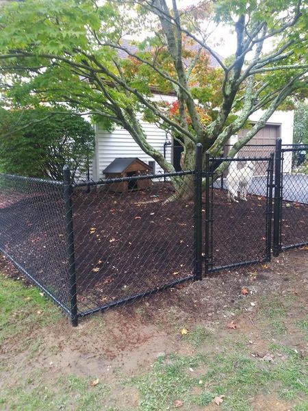 A chain link fence surrounds a dog kennel in a backyard.