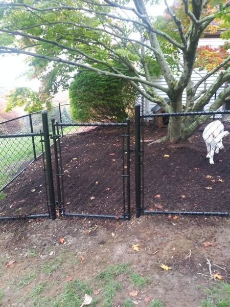A dog is running through a chain link fence in a yard.