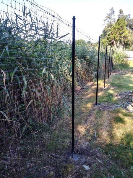 A black fence is surrounded by tall grass and trees.