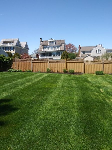 A lush green lawn with a wooden fence and houses in the background