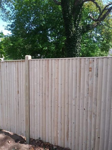 A wooden fence is surrounded by trees in a backyard.