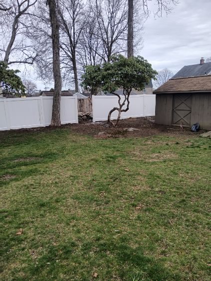 Backyard scene with white fence, small tree, and shed on a cloudy day. Green grass in the foreground.