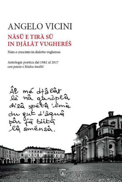 Angelo Vicini Libreria Ticinum Editore