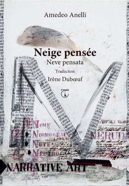 Neve pensata Libreria Ticinum Editore