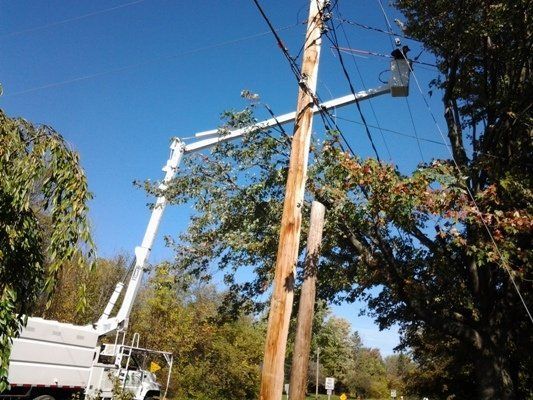Bucket Truck Used For Tree Trimming — Genesee County, MI — Greenwood Tree Service