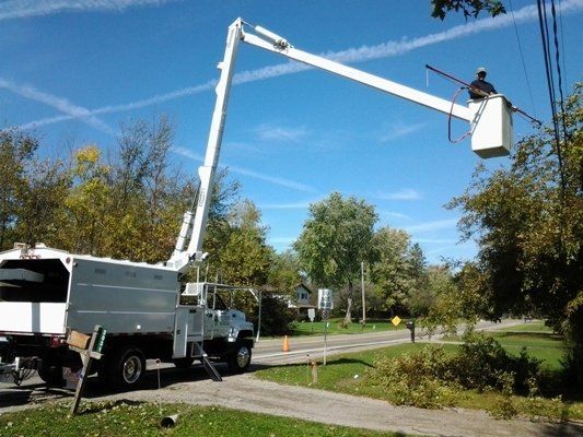 Truck Used For Tree Services — Genesee County, MI — Greenwood Tree Service