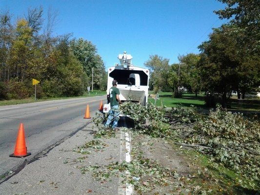 Tree Leaves Along The Road — Genesee County, MI — Greenwood Tree Service