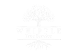 Whipple Tree Service Logo