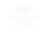 Whipple Tree Service Logo