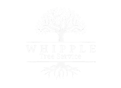 Whipple Tree Service Logo