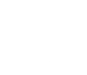 A logo for Balance Gymnastics - all white butterfly with the word Balance in the center