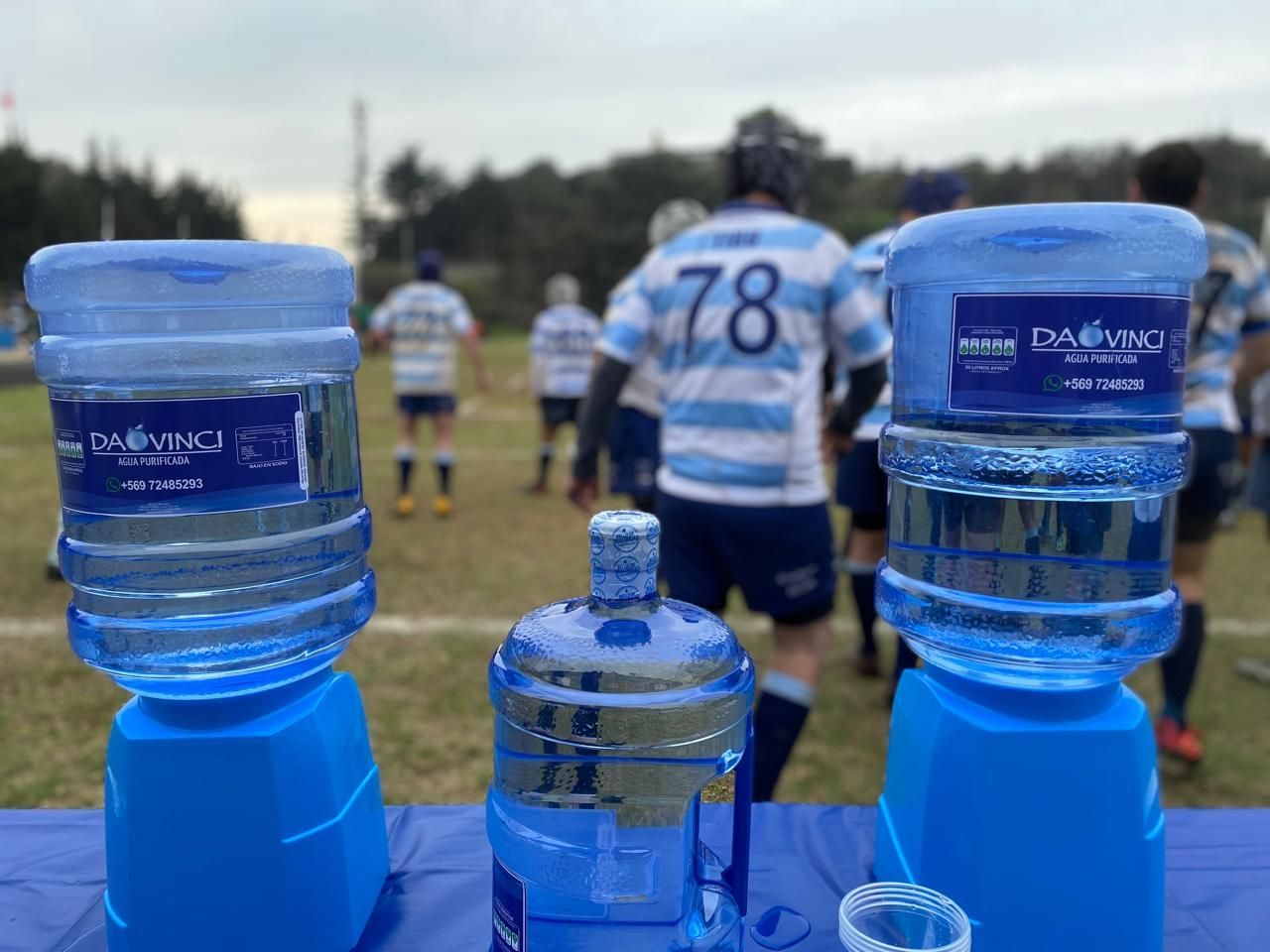 Agua Purificada Da Vinci